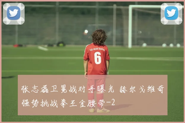 张志磊卫冕战对手曝光 赫尔戈维奇强势挑战拳王金腰带